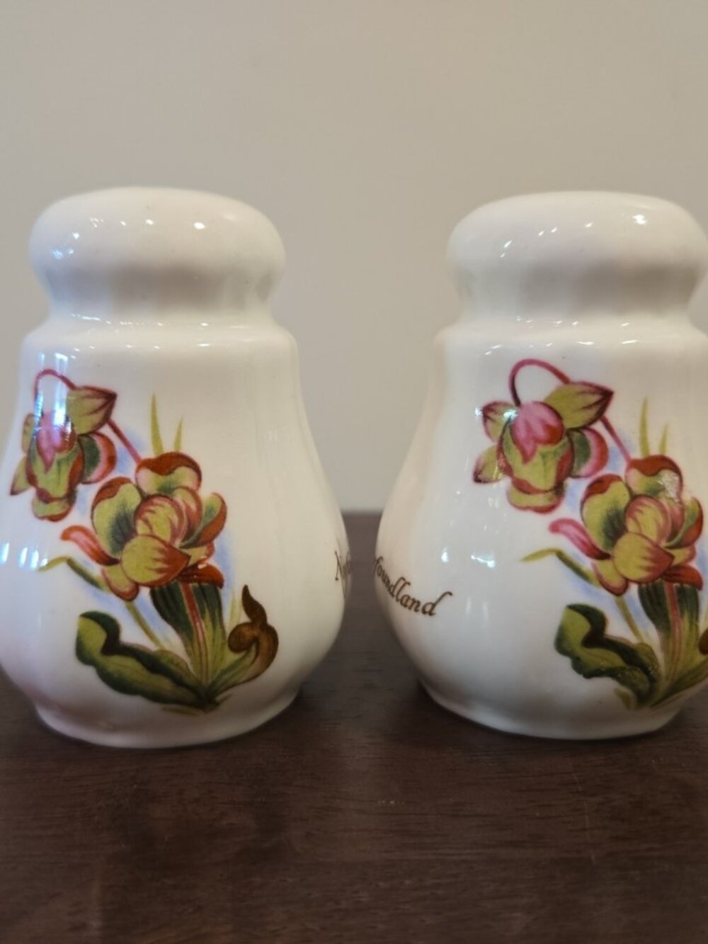 Vintage Jubilee Fine Bone China Set of Newfoundland Canada Salt & Pepper Shakers